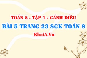 Bài 5 trang 23 SGK Toán 8 tập 1 Cánh Diều